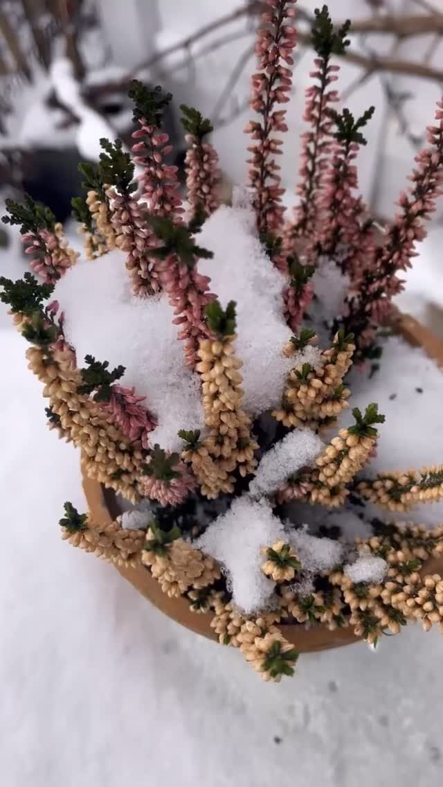 Instagram post from seikreativ.keramik. This post is in position 19.